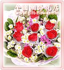 ���ﺵ�����-������-�R��q������ᩱ�q��,24H�q��R����ٺ����ᩱ���H�`�q��