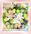 ���ﺵ�����-������-�R��q������ᩱ�q��,24H�q��R����ٺ����ᩱ���H�`�q��