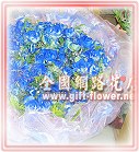 �E�E������,�E�E���u������,�q��,�R��,����,���數�J�O���,���H�`�q��,���H�`§��,�x�_�q��,�x�_�ᩱ,�x���ᩱ,�s�˪ᩱ,���c�ᩱ,���ᩱ,�����ᩱ,�x�n�ᩱ,�Ὤ�ᩱ,�n��ᩱ,�x�_�ᩱ,������,��~�e��,��ڰe��,���P��,�ܱ��