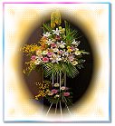 �ݭ�o�j�l��Ϥ�..
