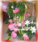 �D�D�|���G�m