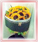 ��o�V�鸪����ݸԲ��A��Ϥ�-�����ᩱ,�q��-�R��,�e�� flower.host-flower.com