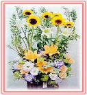 �ݸԲӺ�o����Ϥ�-�����ᩱ,�q��-�R��,�e�� flower.host-flower.com