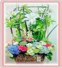 �ݸԲӺ�o����Ϥ�-�����ᩱ,�q��-�R��,�e�� flower.host-flower.com