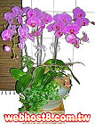 GO�A��j�Ϥ�,�ڭn �q��-�R��,�����ᩱ�q��0952792139,http://www.web-flower.tw/flower/