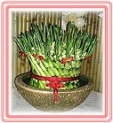 �h���A��j�Ϥ�,�ڭn �����ᩱ�q��-�R��,���ٺ����ᩱ�q��0952792139,http://www.web-flower.tw/flower/