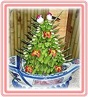 �h���A��j�Ϥ�,�ڭn �����ᩱ�q��-�R��,���ٺ����ᩱ�q��0952792139,http://www.web-flower.tw/flower/