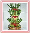�h���A��j�Ϥ�,�ڭn �����ᩱ�q��-�R��,���ٺ����ᩱ�q��0952792139,http://www.web-flower.tw/flower/