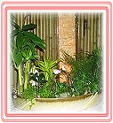 �h���A��j�Ϥ�,�ڭn �����ᩱ�q��-�R��,���ٺ����ᩱ�q��0952792139,http://www.web-flower.tw/flower/