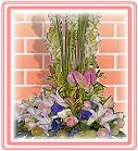 GO�A��j�Ϥ�,�ڭn �q��-�R��,�����ᩱ�q��0952792139