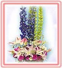 GO�A��j�Ϥ�,�ڭn �q��-�R��,�����ᩱ�q��0952792139