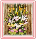 GO�A��j�Ϥ�,�ڭn �q��-�R��,�����ᩱ�q��0952792139
