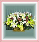 GO�A��j�Ϥ�,�ڭn �q��-�R��,�����ᩱ�q��0952792139
