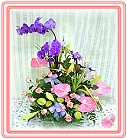 GO�A��j�Ϥ�,�ڭn �q��-�R��,�����ᩱ�q��0952792139