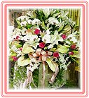 ���A��j��-�P-����x���ᨮ�i�O�l��§��-�R��q������ᩱ�q��,24H�q��R����ٺ����ᩱ�q��