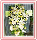���A��j��-�P����x-���ᨮ�i�O�l��§��-�M�~�ӻs-�l������,���Y�y,�F�e���,�P����,�P�ಽ�~,���p,���,���Y�x,�P�����,���Y�� ,�����Y��,�諬���Y��,�j�����Y��,�R��q������ᩱ�R��q��,24H�q��R����ٺ����ᩱ�q��