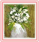 ���A��j��-�P����x���ᨮ�i�O�l��§��-�R��q������ᩱ-�q��,24H�q��R����ٺ����ᩱ�q��