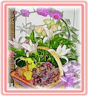 �ݤ��G§�x�A��j��-�R��-�q��-����-�e��-�����ᩱ�q��I
