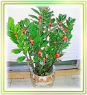 �ݭ�o�j�}�B�֪�Ϥ�..,flower-love-rose,Valentine's Day,���H�`�q��,�R��,�����ᩱ�q��