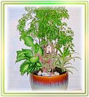 �ݭ�o�j�}�B�֪�Ϥ�-,flower-love-rose,Valentine's Day,���H�`�q��,�R��,�����ᩱ�q��