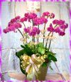 �ݭ�o�j�����..